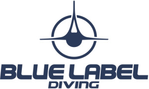 new-logo-bld-300x180