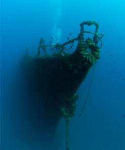 Dive Trips